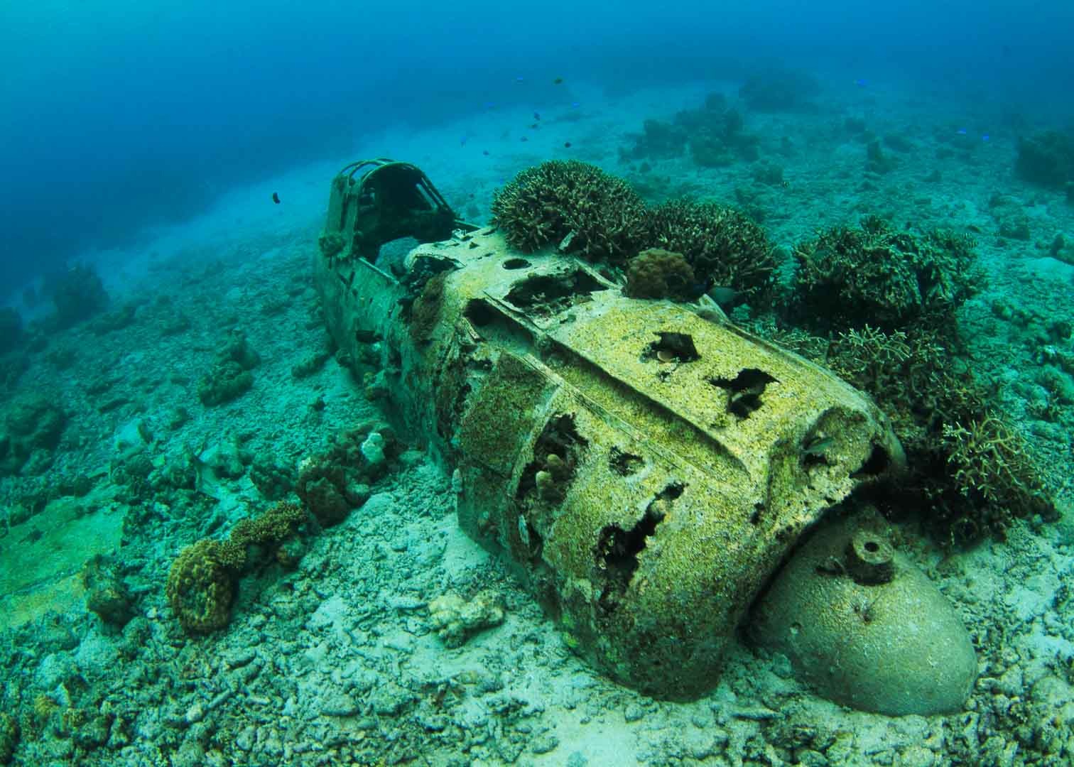 Sunken WWII aircraft on the reef shelf