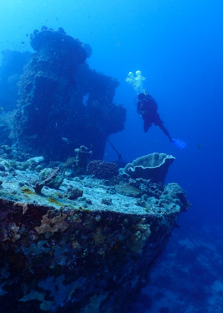 A diver surveying the coral-encrusted superstructure of a Rabaul wreck