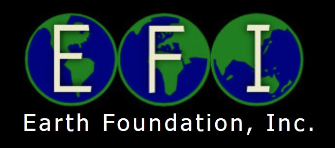 EFI